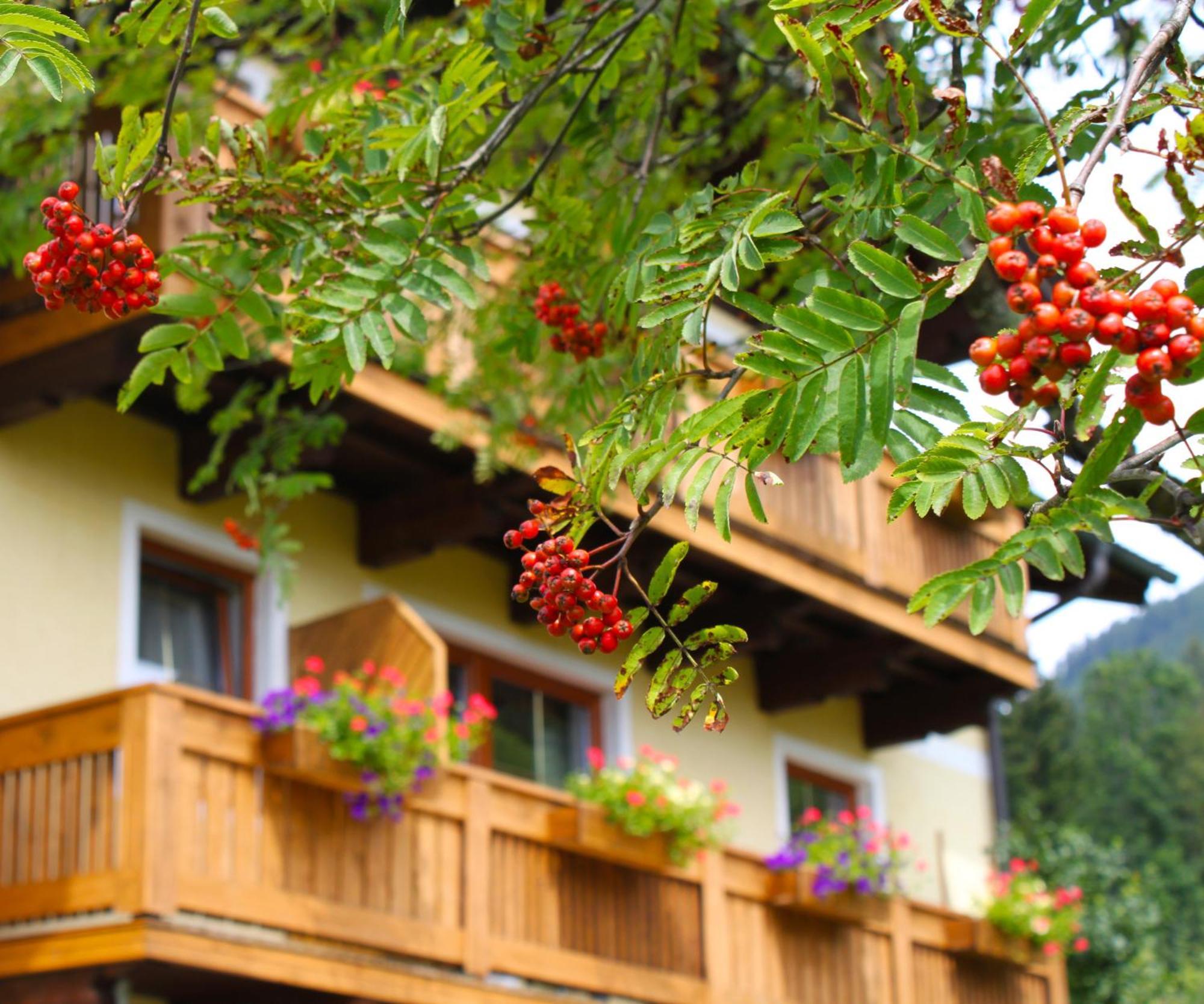Haus Farmer Sankt Martin am Tennengebirge Εξωτερικό φωτογραφία